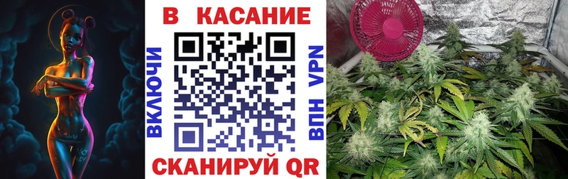 Где продают наркотики Злынка Кодеин  A-PVP  Гашиш  гидра как зайти  МАРИХУАНА  КОКАИН 