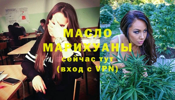 индика Заволжск