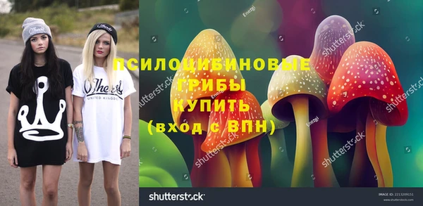 кокс Арсеньев