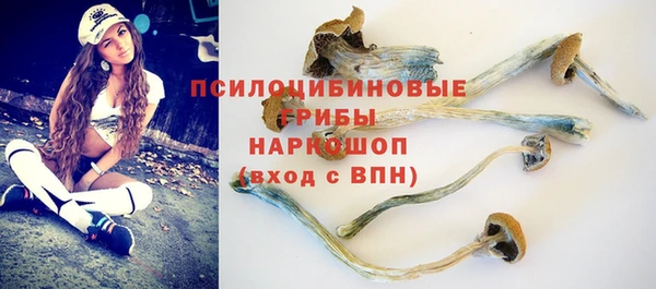 прущая мука Аркадак