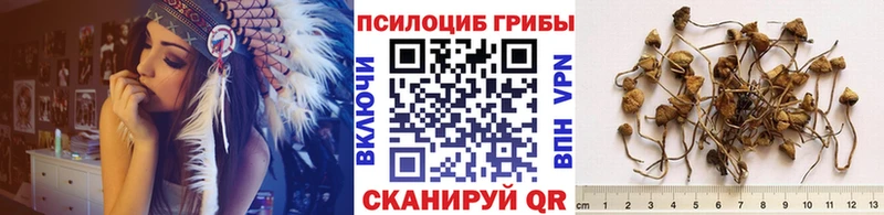 Галлюциногенные грибы Psilocybine cubensis  блэк спрут ONION  Злынка 